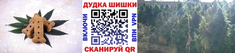 Cannafood марихуана  mega ССЫЛКА  Кашин 