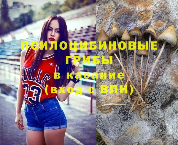 СК Балахна