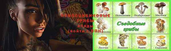 индика Балабаново