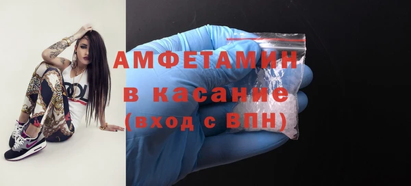 индика Балабаново