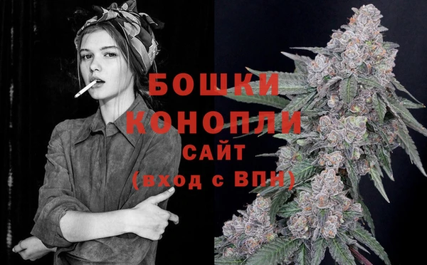 индика Балабаново