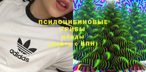СК Балахна