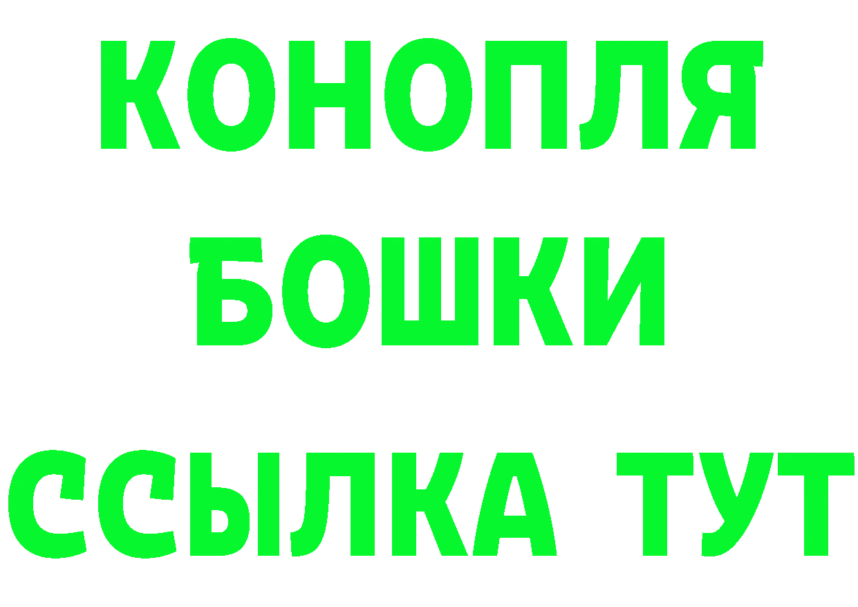 ГАШ гарик ONION мориарти блэк спрут Кашин