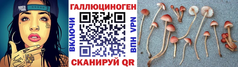 Псилоцибиновые грибы Magic Shrooms  кракен как войти  Кашин 